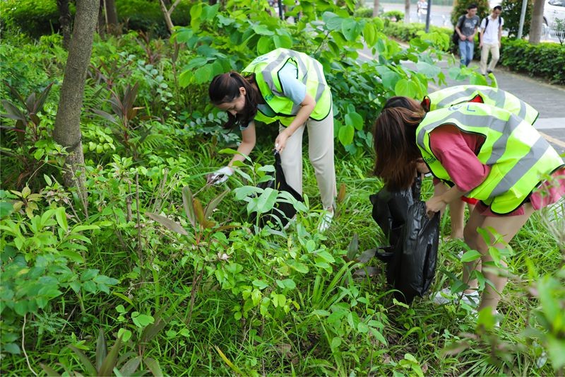 油煙凈化器，油煙凈化設(shè)備，油煙凈化機