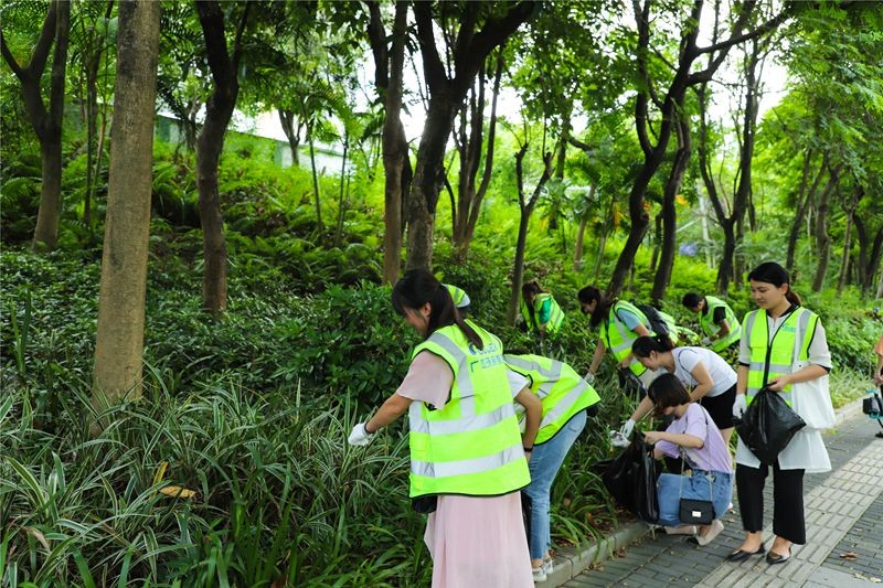油煙凈化器，油煙凈化設(shè)備，油煙凈化機