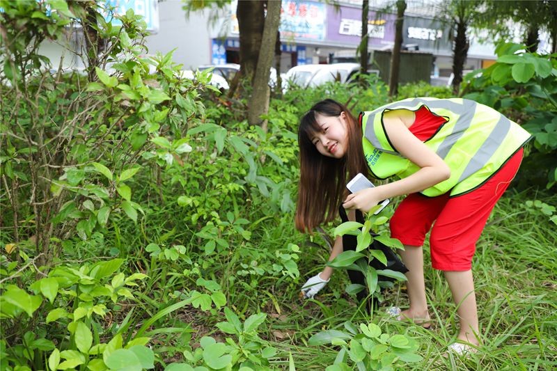 油煙凈化器，油煙凈化設(shè)備，油煙凈化機