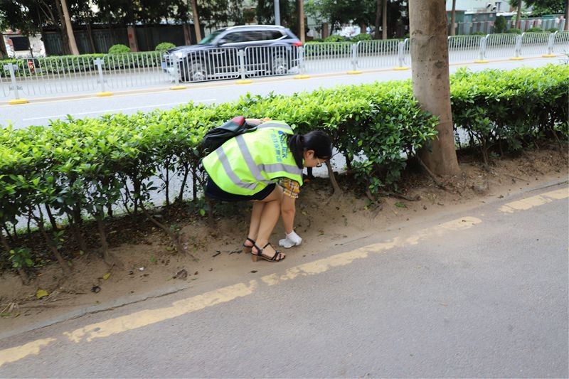 油煙凈化器，油煙凈化設(shè)備，油煙凈化機