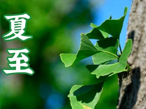 油煙凈化器，油煙凈化設(shè)備，油煙凈化機